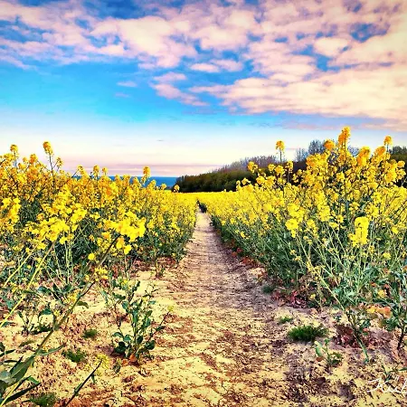 Апартаменты Im Strandhus