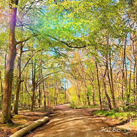 Im Strandhus Διαμέρισμα